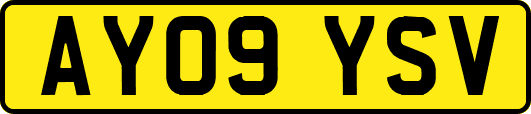 AY09YSV