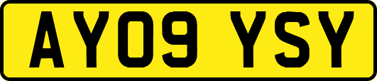 AY09YSY