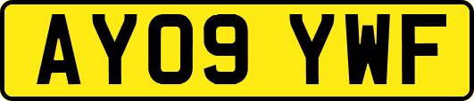 AY09YWF