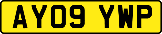 AY09YWP