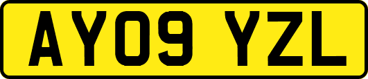 AY09YZL