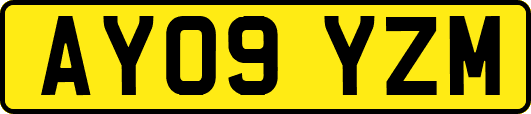 AY09YZM