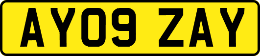 AY09ZAY