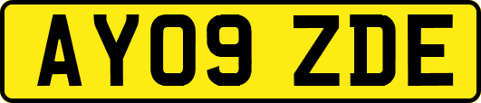 AY09ZDE