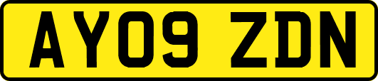 AY09ZDN