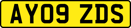 AY09ZDS