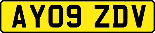 AY09ZDV