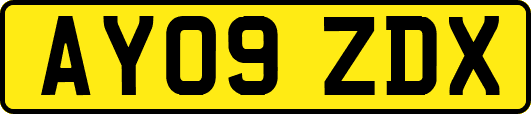 AY09ZDX