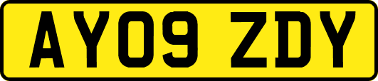 AY09ZDY