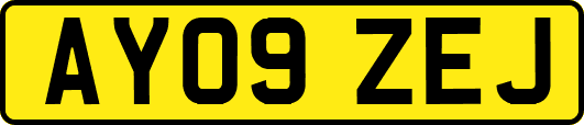 AY09ZEJ