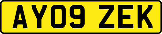 AY09ZEK