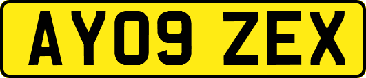 AY09ZEX