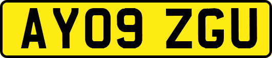 AY09ZGU
