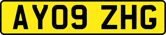 AY09ZHG