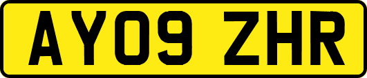 AY09ZHR
