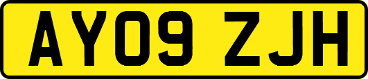 AY09ZJH
