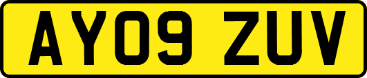 AY09ZUV