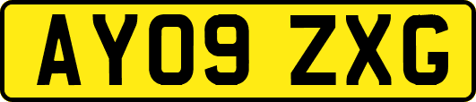 AY09ZXG