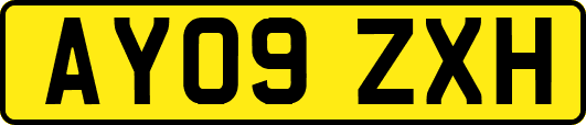 AY09ZXH