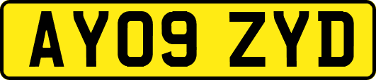 AY09ZYD