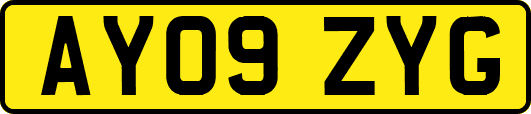 AY09ZYG