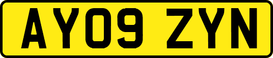 AY09ZYN