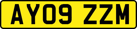 AY09ZZM