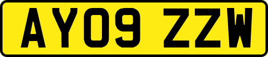 AY09ZZW