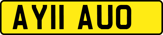 AY11AUO