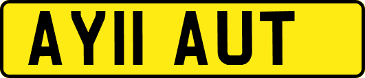 AY11AUT