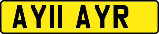 AY11AYR