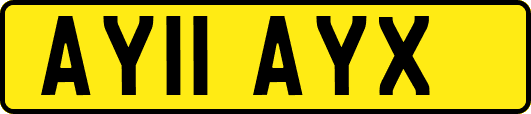 AY11AYX