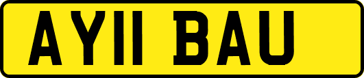 AY11BAU