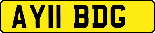 AY11BDG