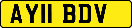 AY11BDV
