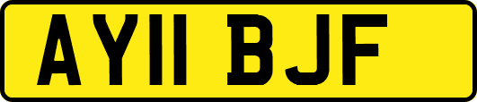 AY11BJF