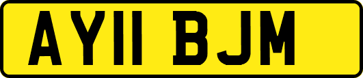 AY11BJM