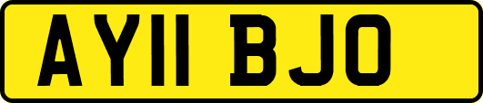 AY11BJO