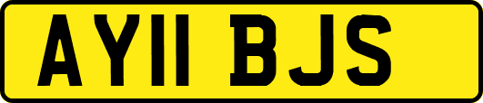 AY11BJS