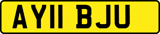 AY11BJU