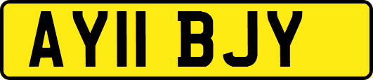 AY11BJY
