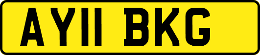 AY11BKG