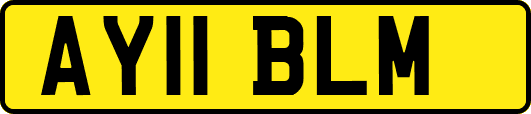 AY11BLM