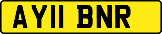 AY11BNR