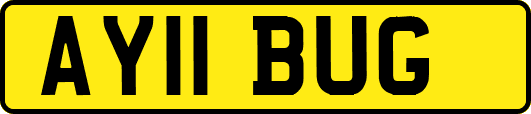AY11BUG