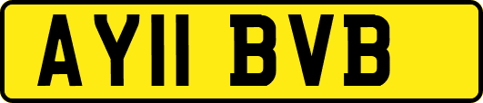 AY11BVB