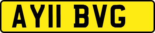 AY11BVG