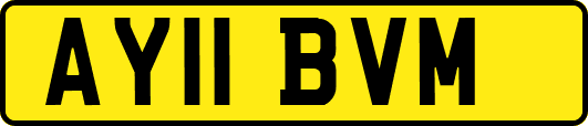 AY11BVM
