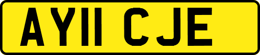 AY11CJE