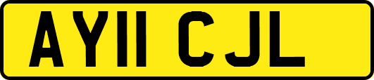 AY11CJL